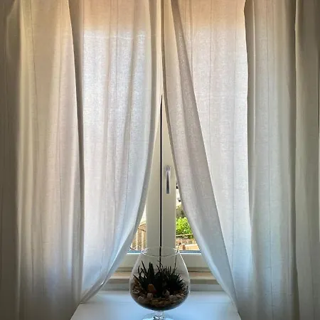 8 Marzo Bed & Breakfast Belvedere Marittimo